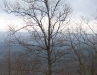 Appalachian Mountains