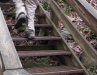 604 steps