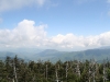 Clingman's Dome, TN