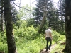 Clingman's Dome, TN